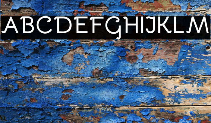 Bellota Bold Example 3