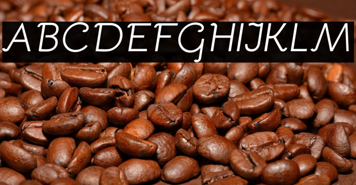 Bellota Italic Example 2