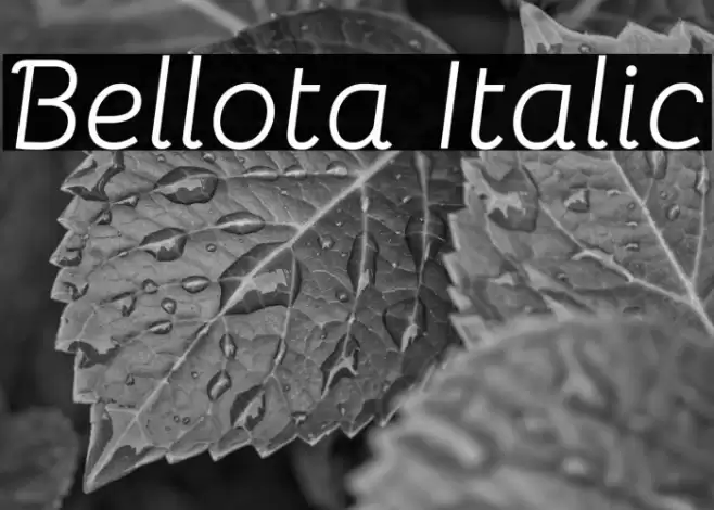 Bellota Italic फ़ॉन्ट examples