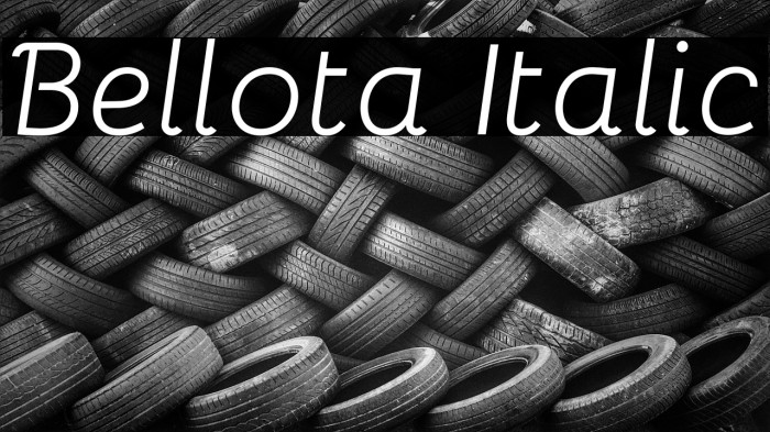 Bellota Italic Шрифта examples