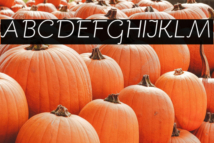 Bellota Light Italic Example 1