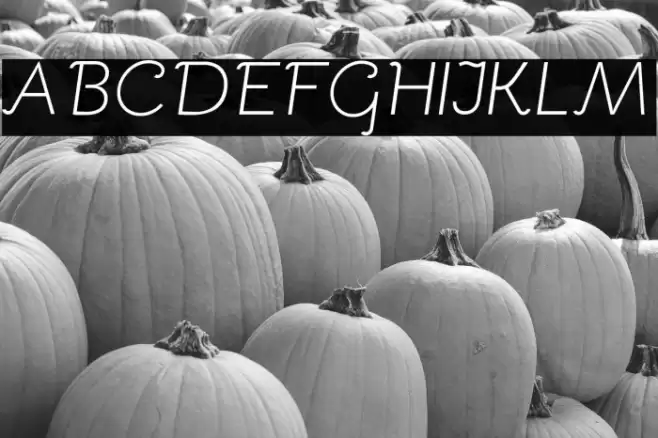 Bellota Light Italic Font examples