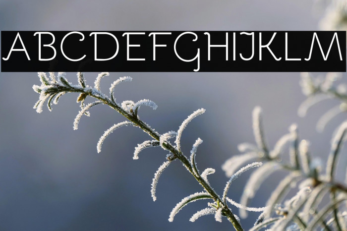 Bellota Light Example 1