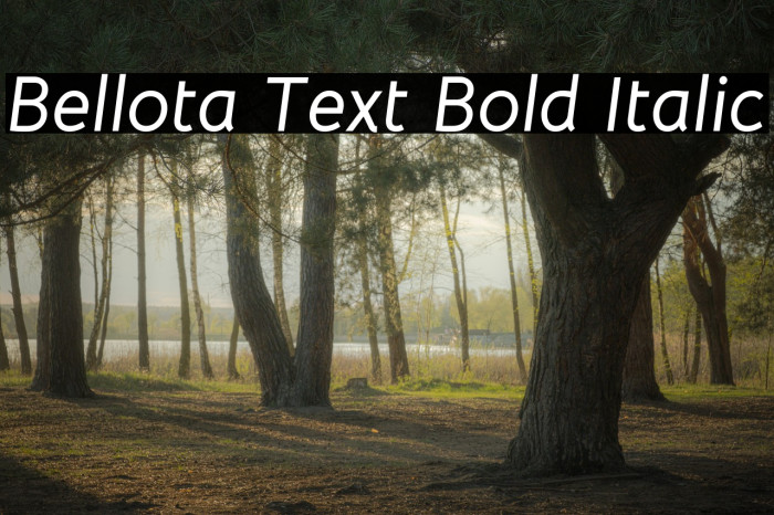 Bellota Text Bold Italic Font examples