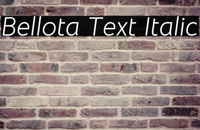 Bellota Text Italic Font examples