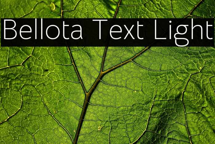 Bellota Text Light Font examples