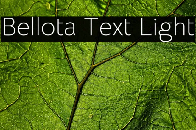 Bellota Text Light Example 1