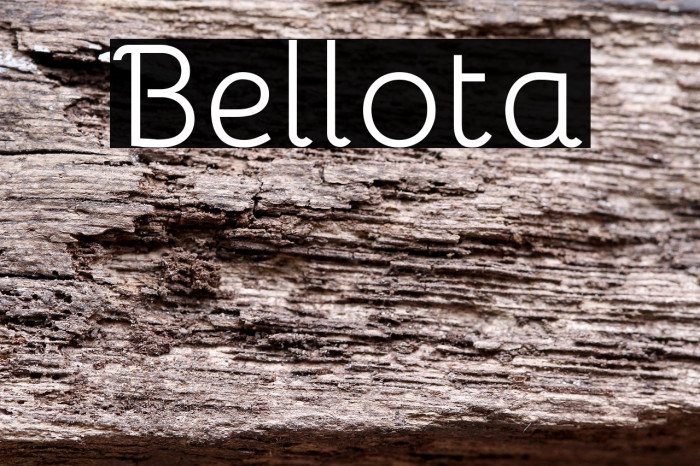 Bellota Example 1