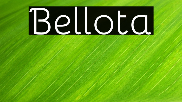 Bellota Example 2