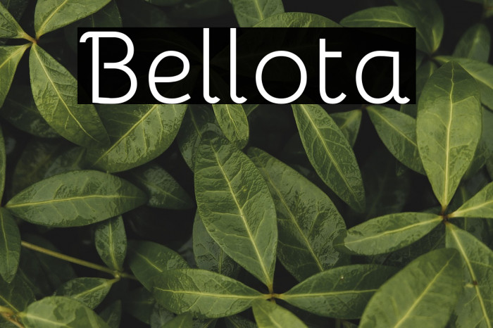 Bellota Example 3