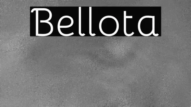 Bellota フォント examples