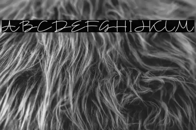 Belloti Schriftart examples