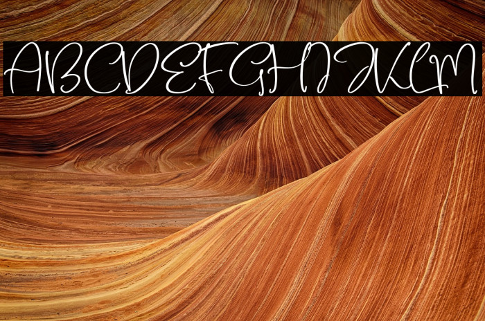 Belloty Signatone Example 1