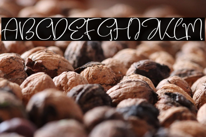 Belloty Signatone Example 3