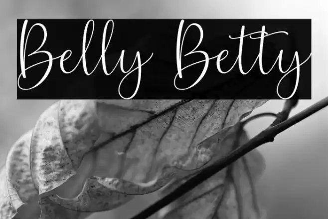 Belly Betty Font examples