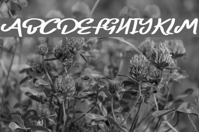 Belly Queens Font examples