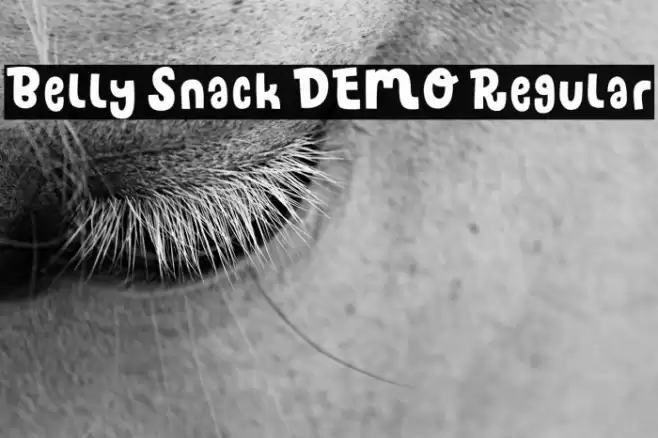Belly Snack DEMO Regular Font examples