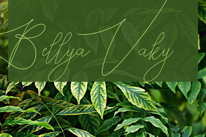 Bellya Vaky Font examples