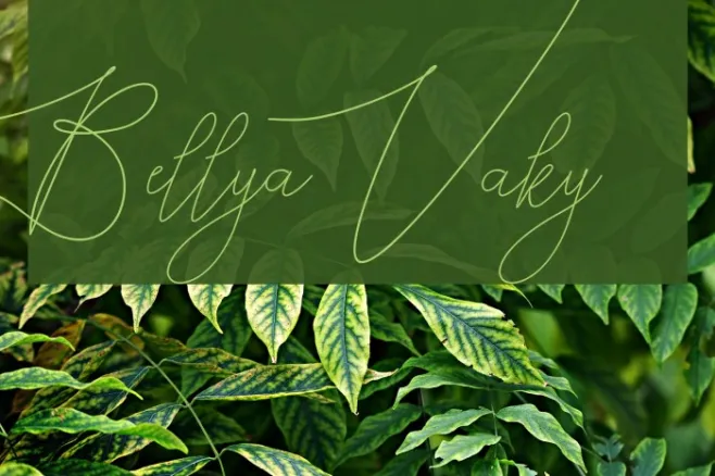 Bellya Vaky Example 1