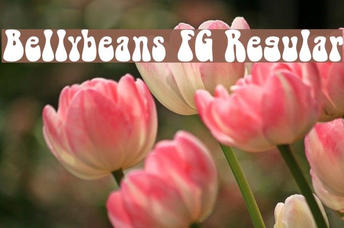 Bellybeans FG Regular 字体 examples