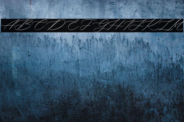 Bellychestor Free Regular Example 3