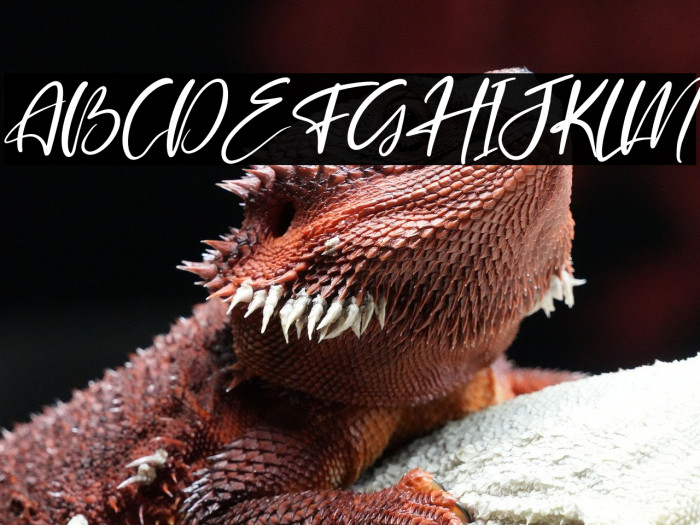 Belmondela Italic Example 1