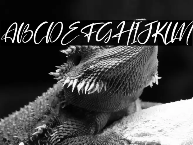 Belmondela Italic Font examples