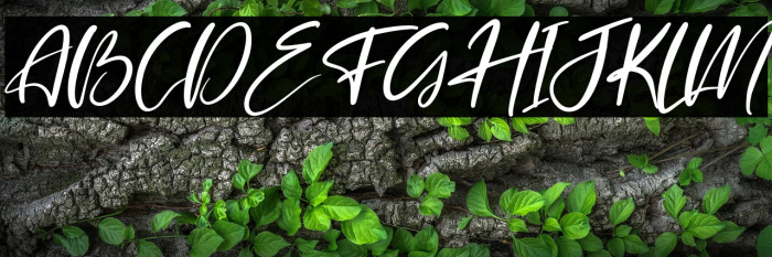 Belmondela Italic Example 3