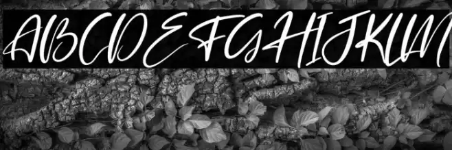 Belmondela Italic Font examples