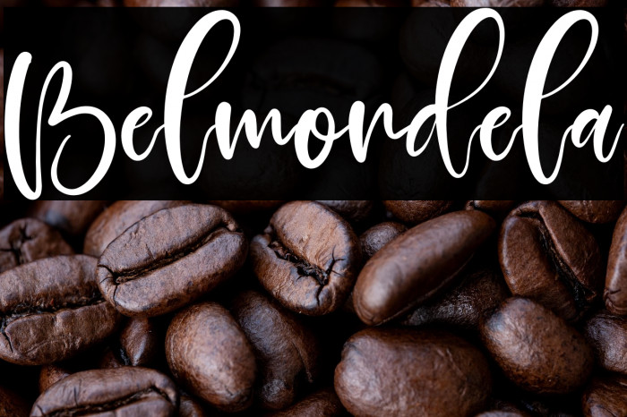 Belmondela Example 2