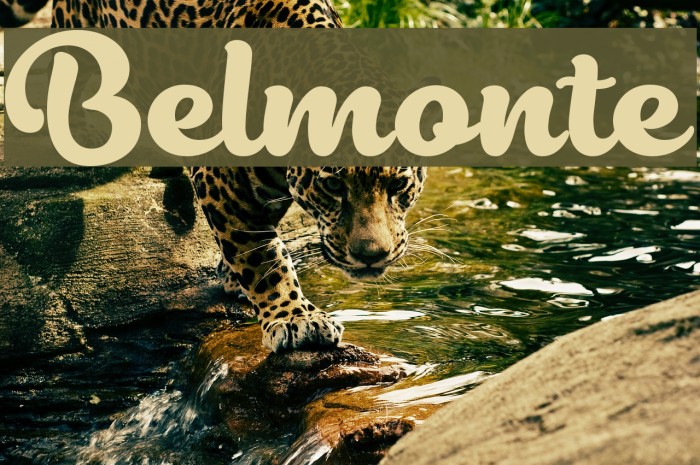 Belmonte Font examples
