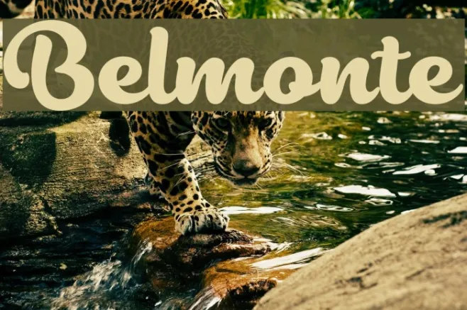Belmonte Example 2