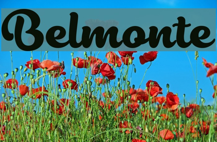 Belmonte Font examples