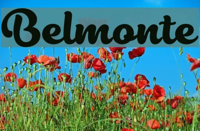 Belmonte Example 3