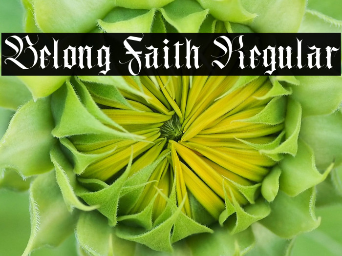 Belong Faith Regular Example 2