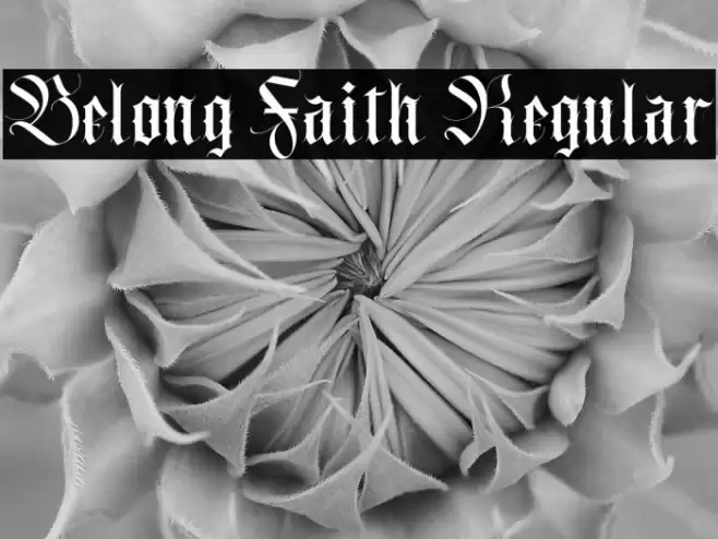 Belong Faith Regular Font examples