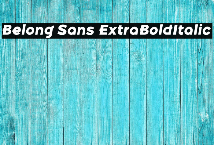 Belong Sans ExtraBoldItalic Example 1