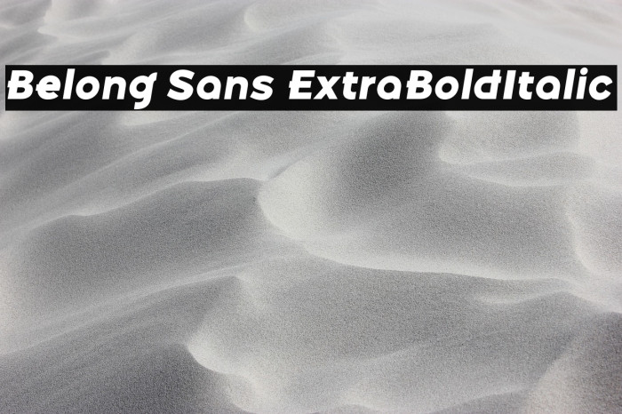 Belong Sans ExtraBoldItalic Example 2