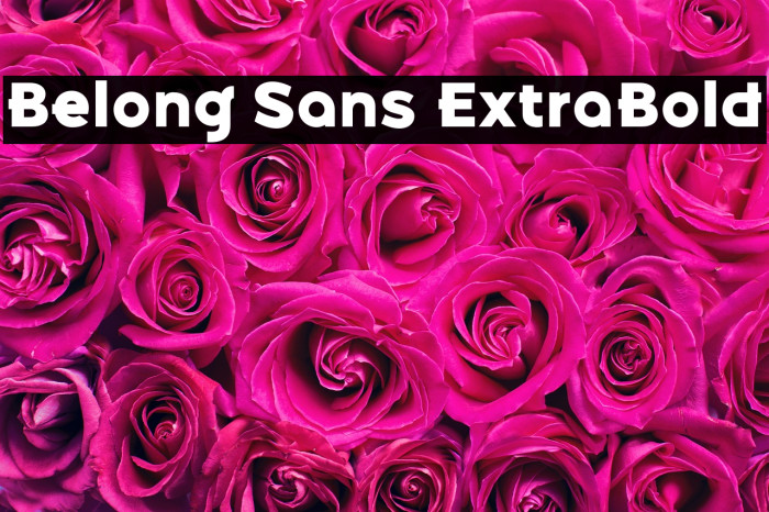 Belong Sans ExtraBold Example 1