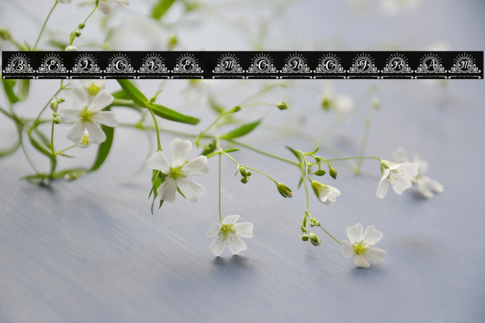 Belove Monogram Example 1