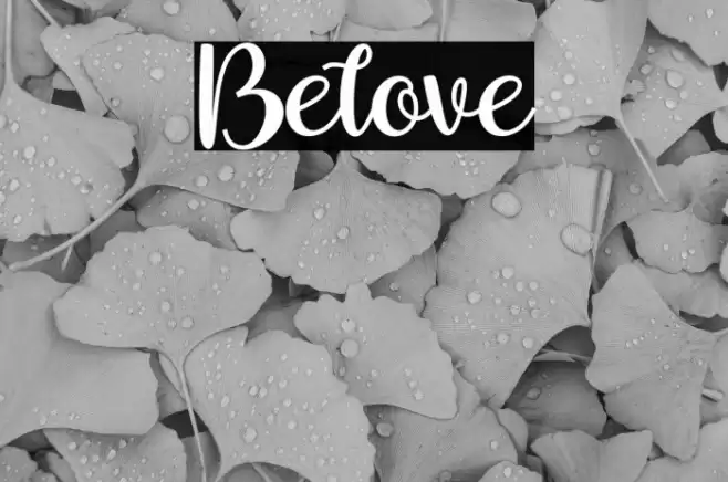 Belove Font examples