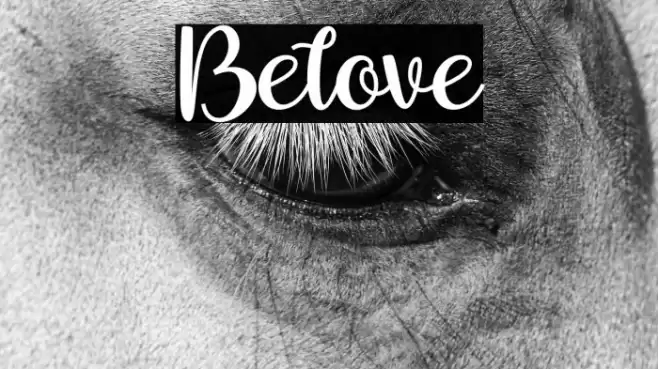 Belove Font examples