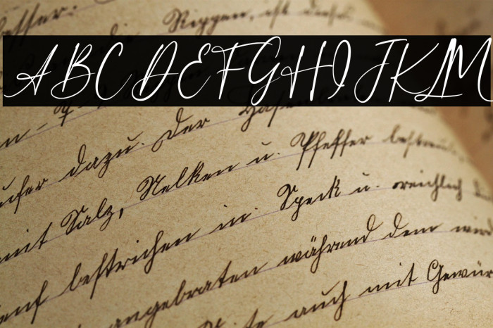 Beloved Collection Regular Example 2