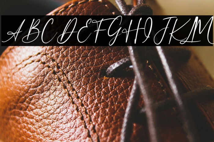 Beloved Collection Regular Example 3