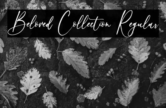 Beloved Collection Regular Font examples