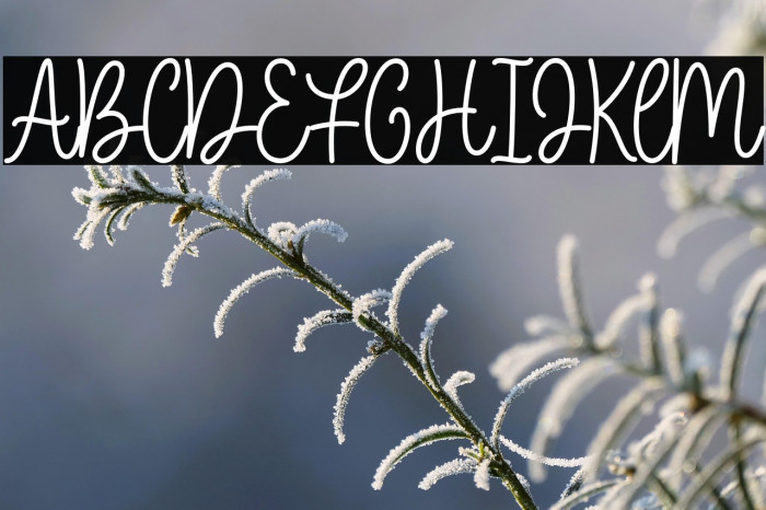 Beloved - Demo Example 2