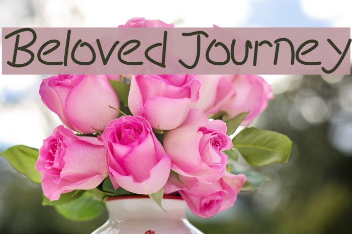 Beloved Journey Example 3