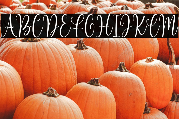 Beloved Matisa Demo Example 1