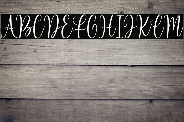 Beloved Matisa Demo Example 2