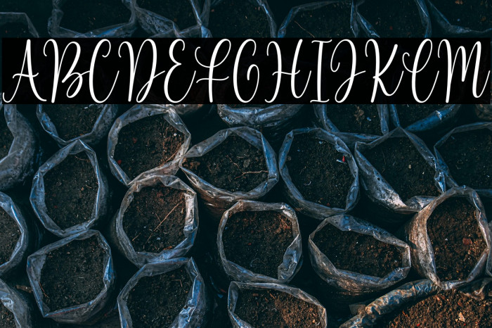 Beloved Matisa Demo Example 3